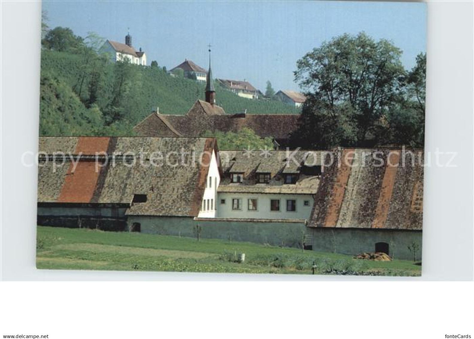 12589241 Ittingen Sankt Martinskapelle Warth Rebhang