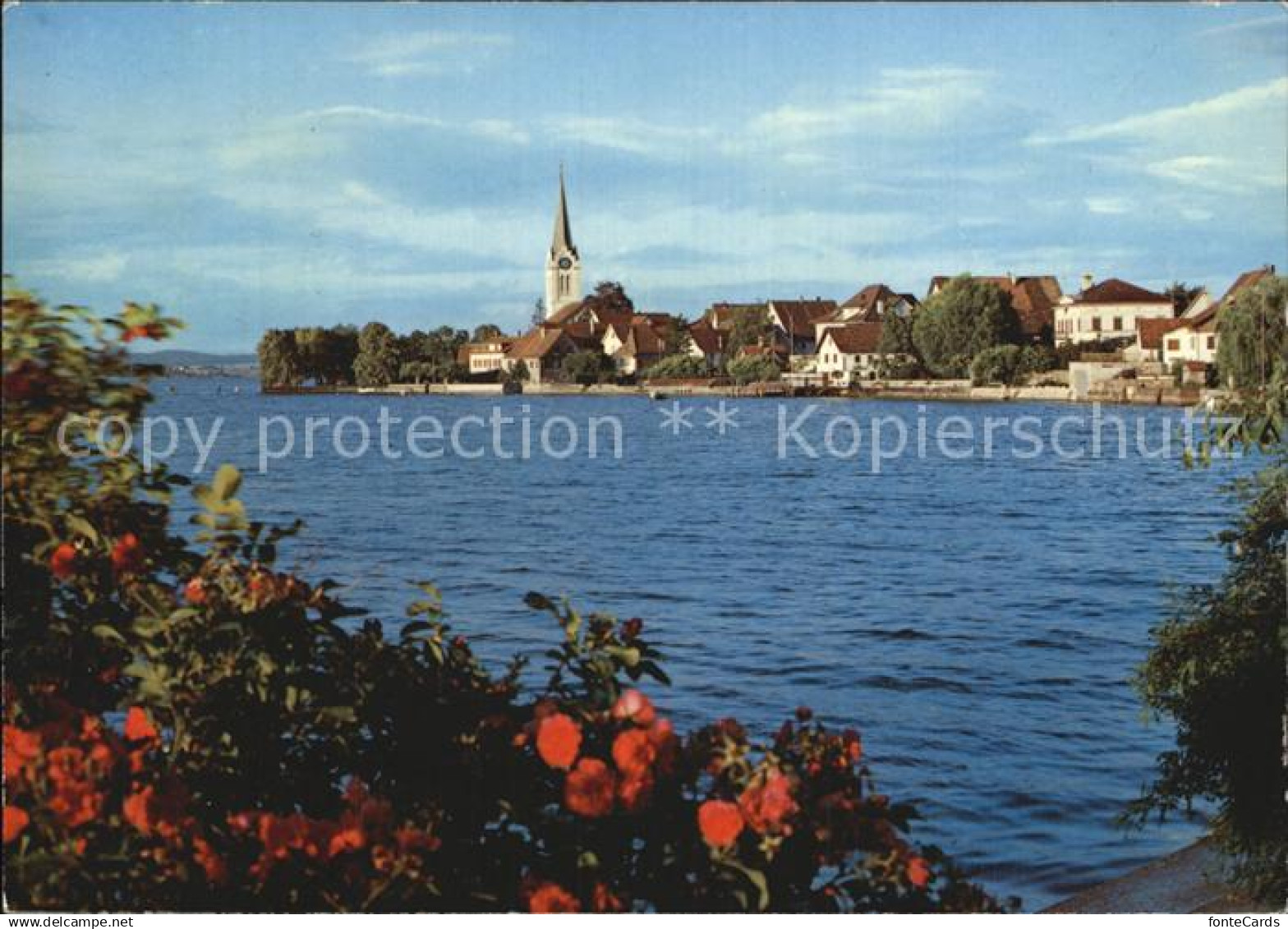 12593145 Berlingen Untersee Kirche Panorama