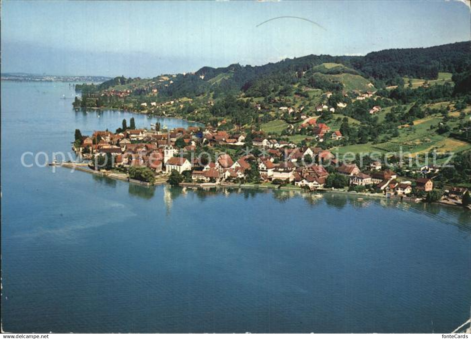 12593322 Berlingen Untersee Flugaufnahme