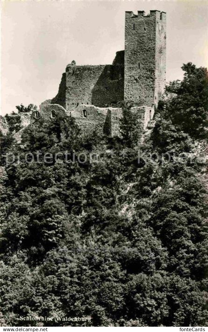 12647630 Waldenburg BL Schlossruine Waldenburg BL