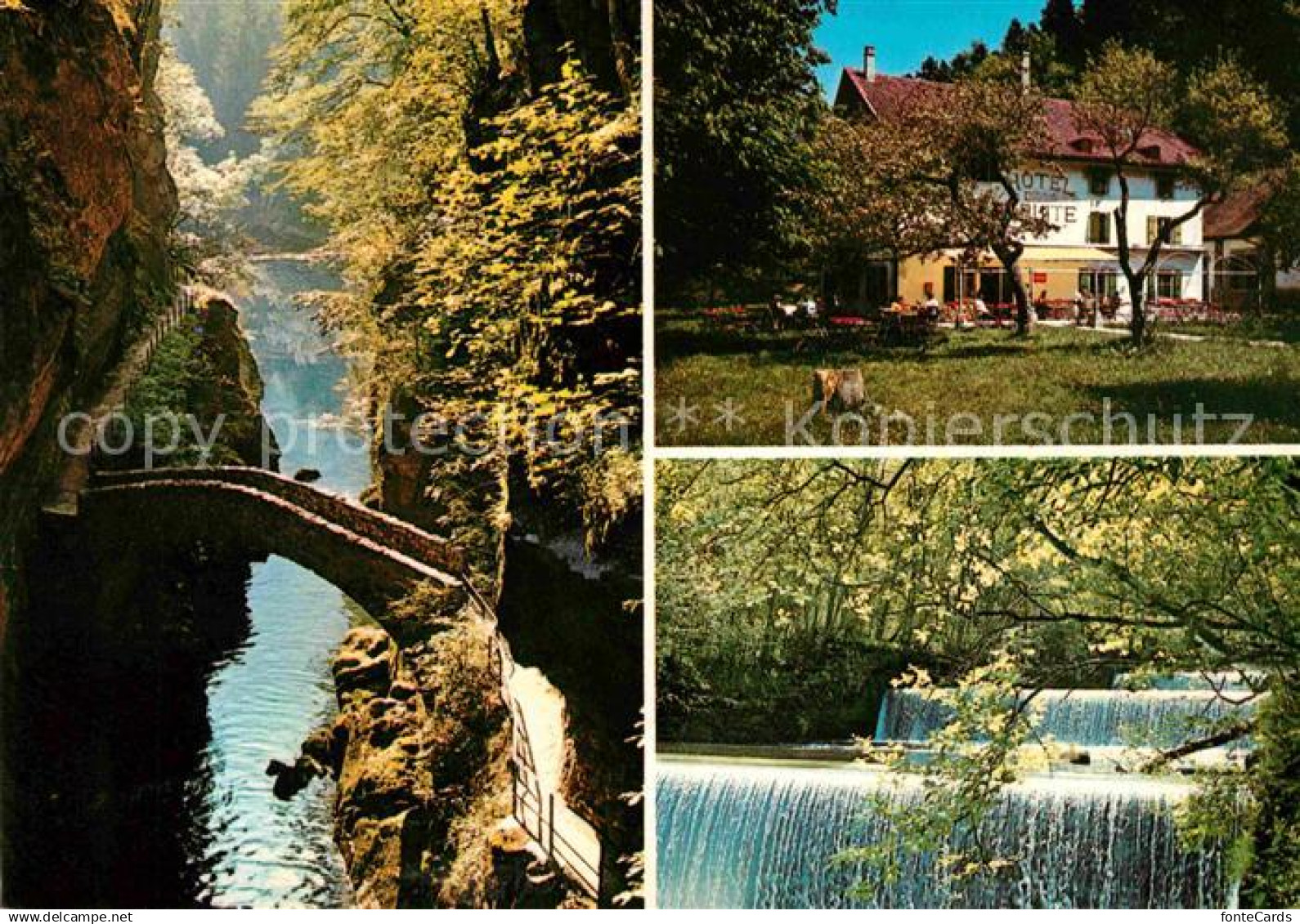 12649194 Boudry Les gorges de l'Areuse Schlucht Wasserfall Bruecke Hotel Boudry