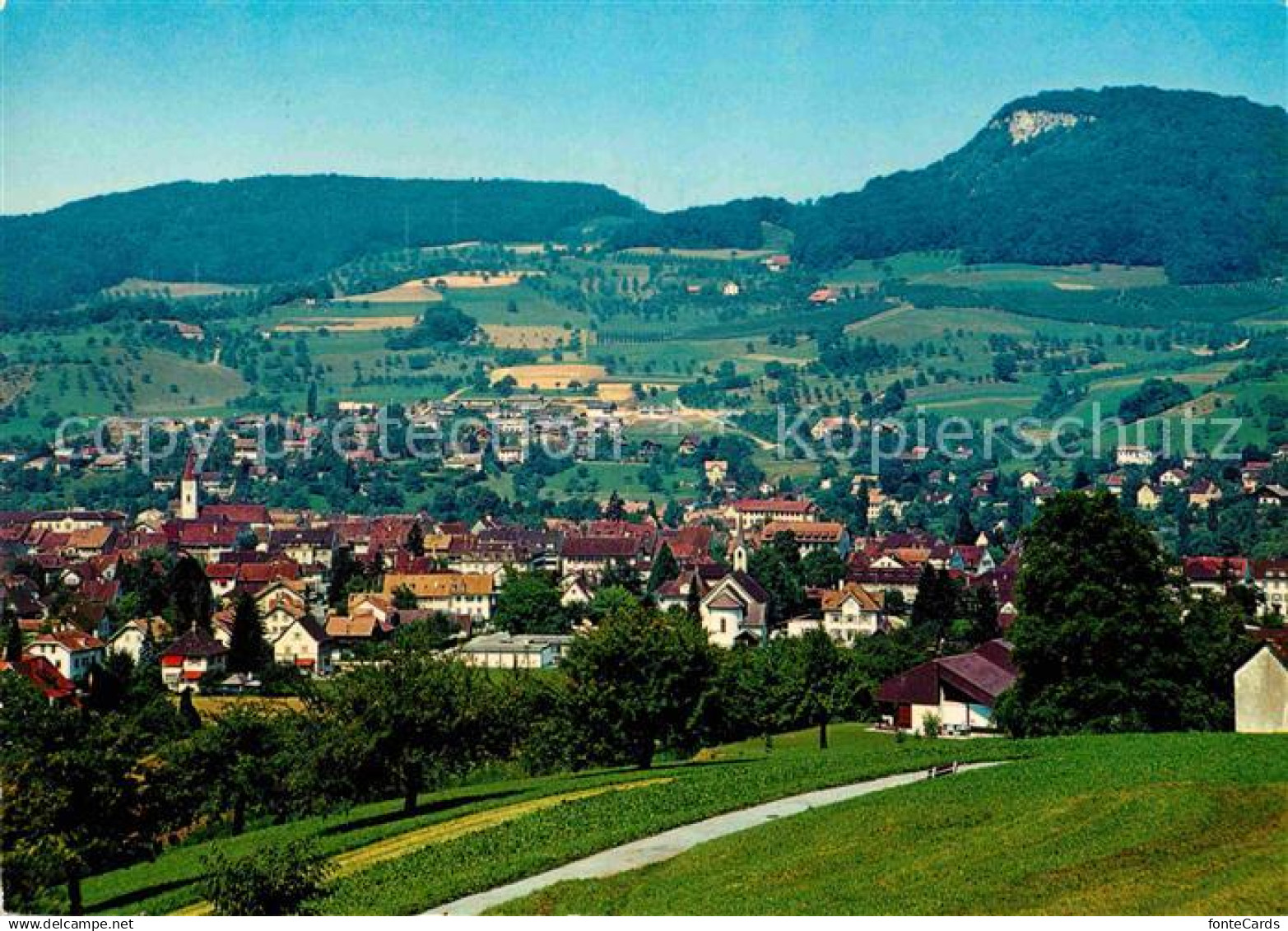 12773863 Sissach mit Sissachfluh