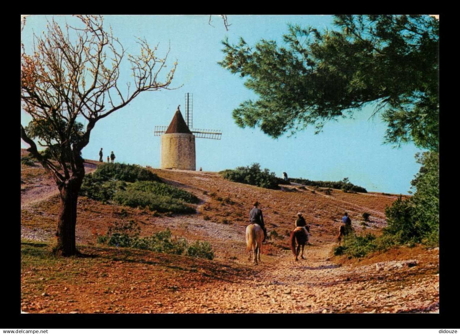 13 - Fontvieille - Le Moulin de Daudet - Chevaux - CPM - Voir Scans Recto-Verso