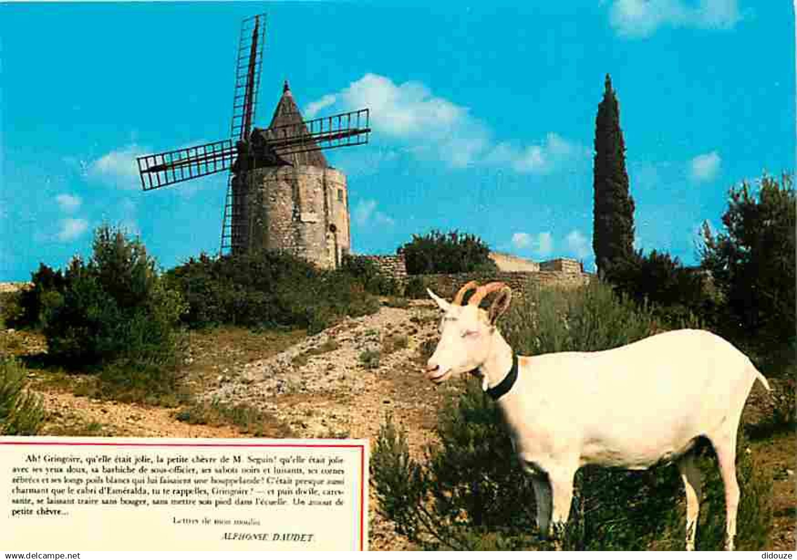 13 - Fontvieille - Le Moulin de Daudet - Chèvres - Carte Neuve - CPM - Voir Scans Recto-Verso