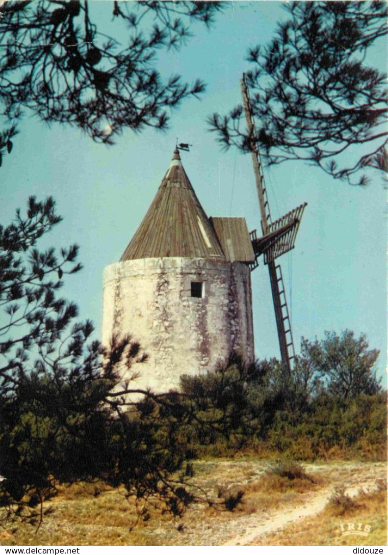 13 - Fontvieille - Le Moulin de Daudet - CPM - Voir Scans Recto-Verso