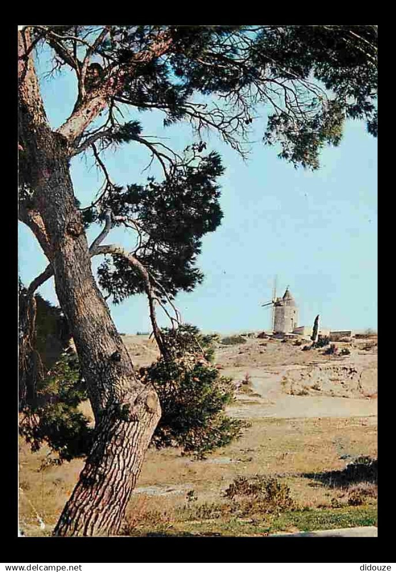 13 - Fontvieille - Le Moulin de Daudet - CPM - Voir Scans Recto-Verso