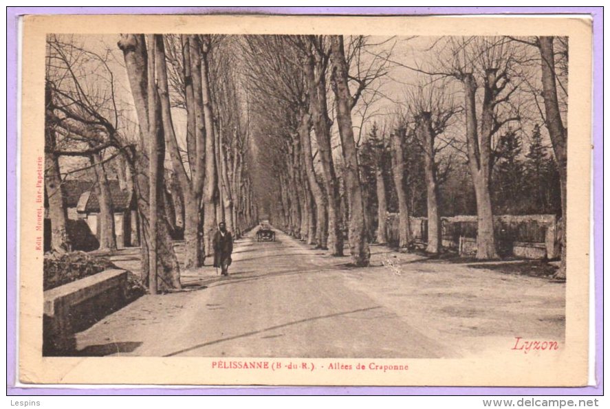 13 - PELISSANNE -- Allées de Craponne