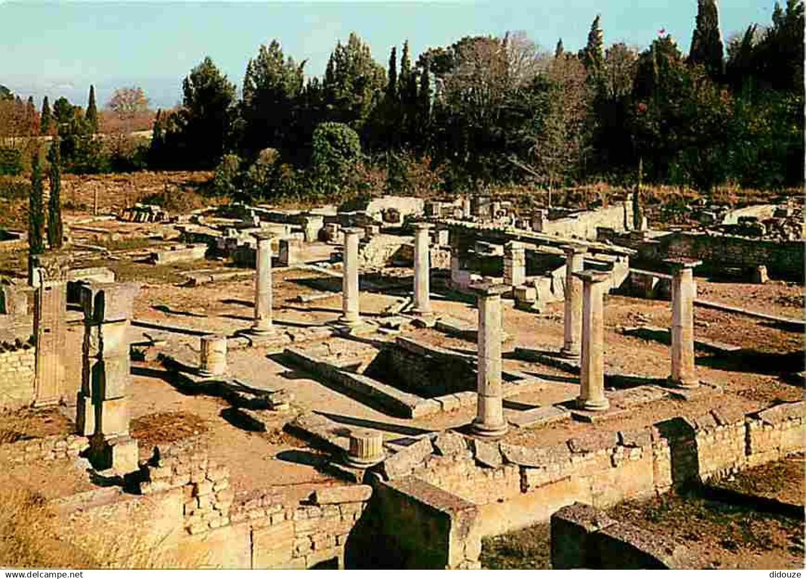 13 - Saint Remy de Provence - Glanum - Ruines antiques Gréco-Romaine - Carte Neuve - CPM - Voir Scans Recto-Verso