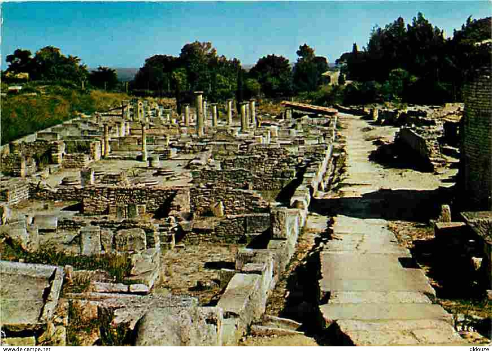 13 - Saint Remy de Provence - Glanum - Ruines antiques Gréco-Romaine - Flamme Postale - CPM - Voir Scans Recto-Verso