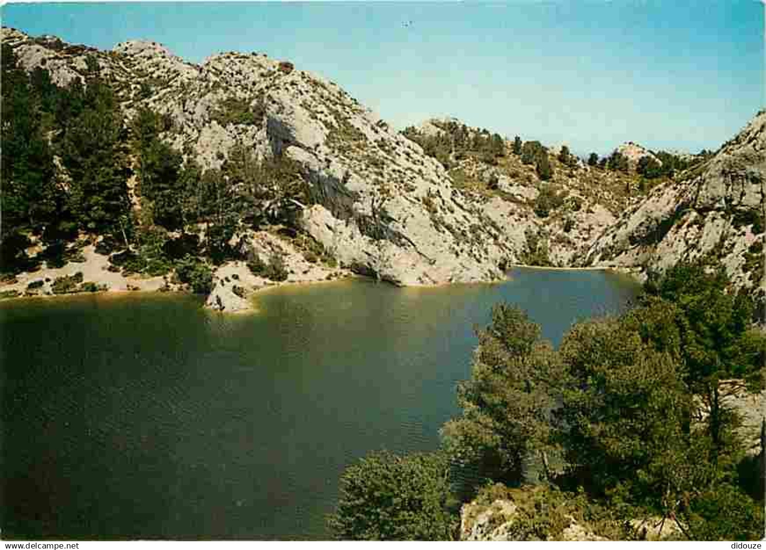 13 - Saint Remy de Provence - Le Lac à hautes eaux - CPM - Voir Scans Recto-Verso