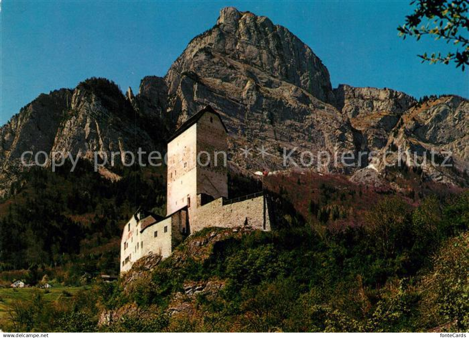 13225867 Sargans Schloss Sargans mit Gonzen