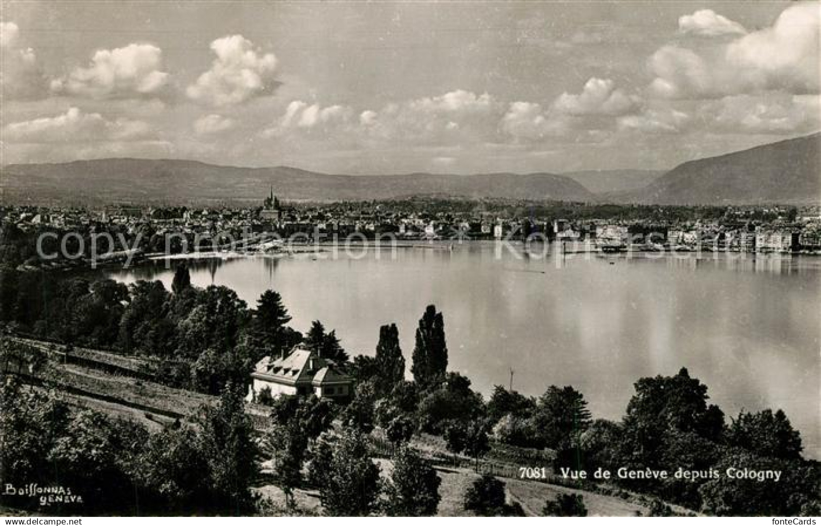 13297782 Geneve GE Vue depuis Cologny