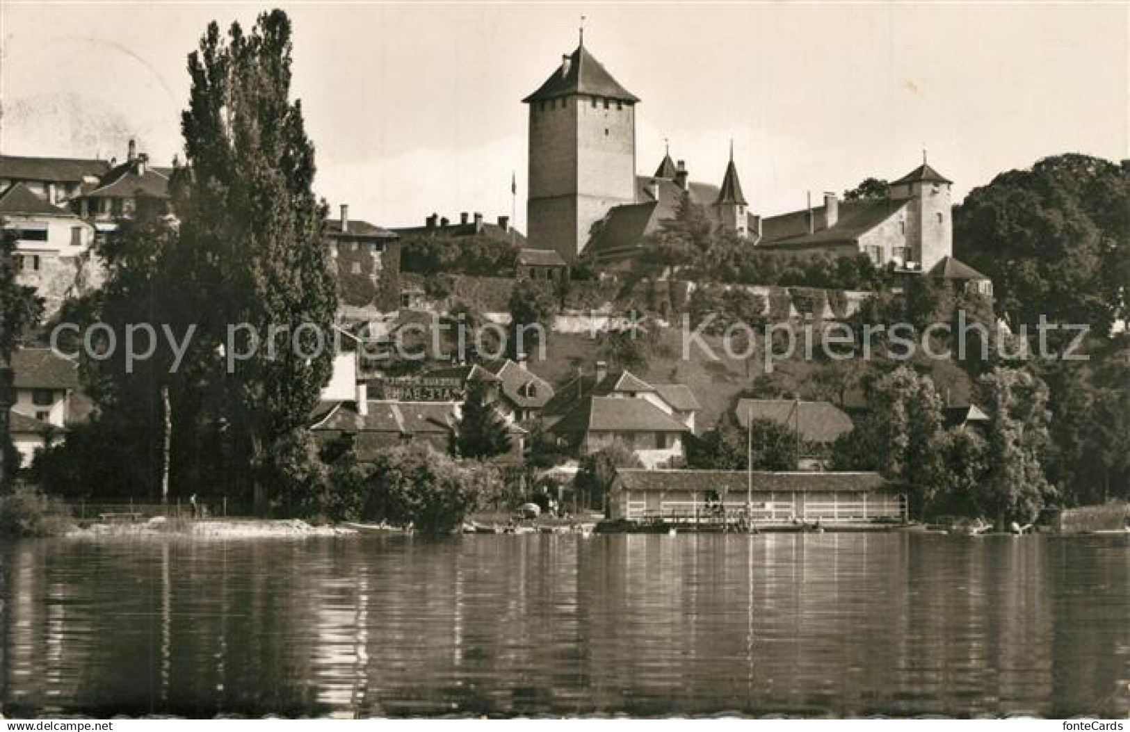 13304045 Murten Morat Schloss Murten Morat