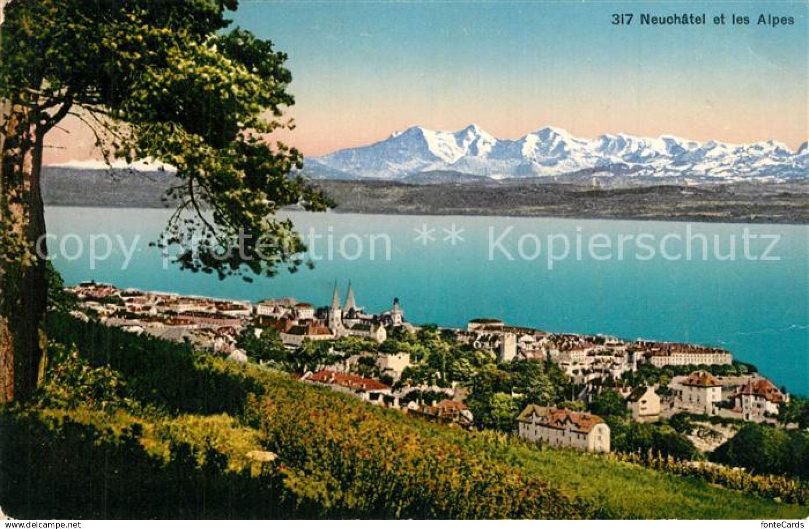 13561795 Neuchatel NE Panorama Alpen Neuchatel NE