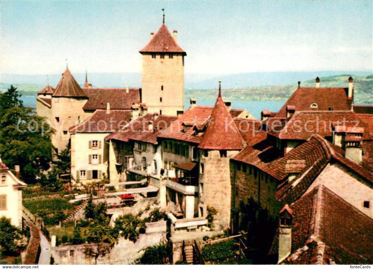 13624972 Murten Morat Schloss Murten Morat