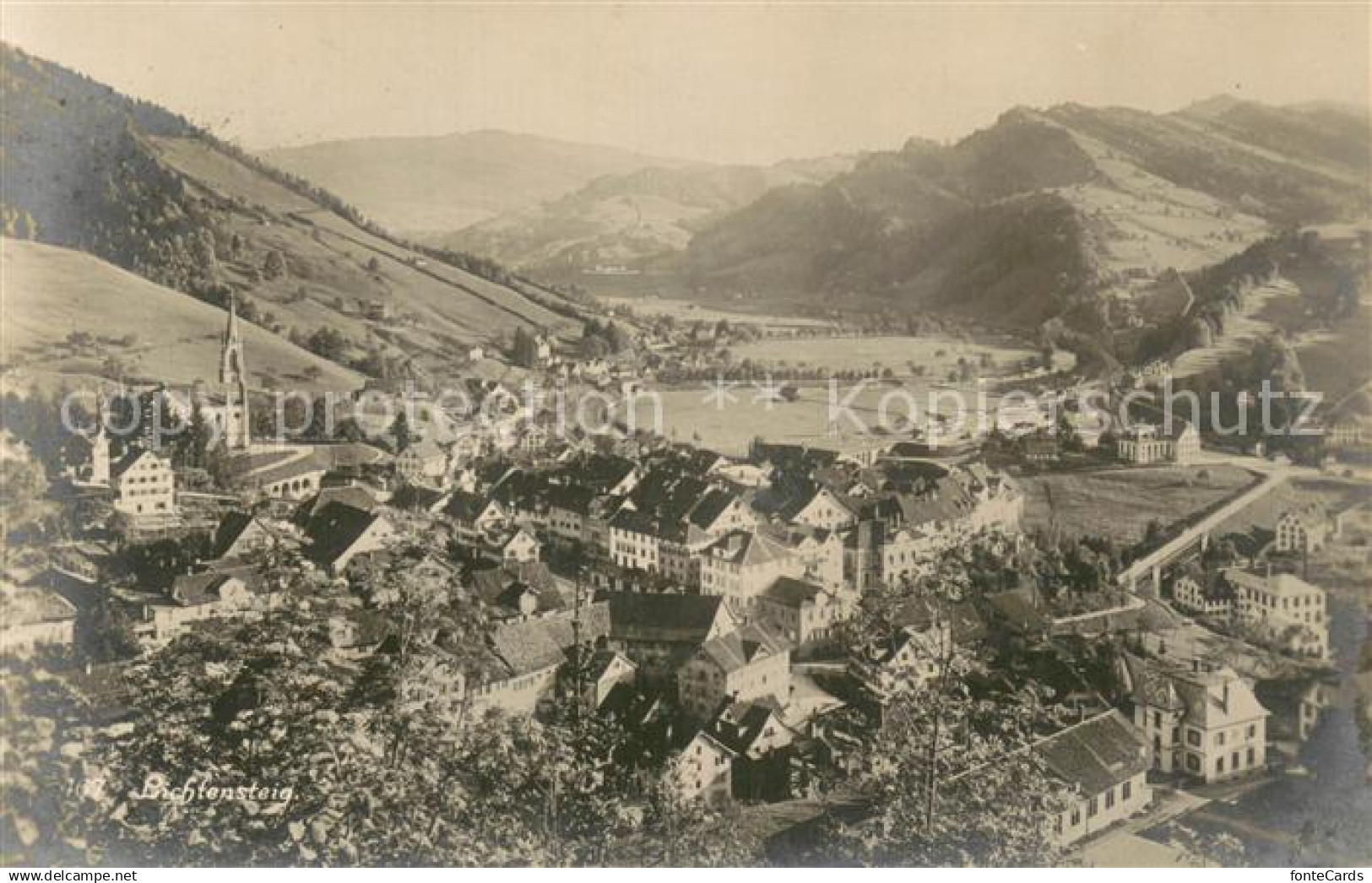 13709401 Lichtensteig Panorama Lichtensteig