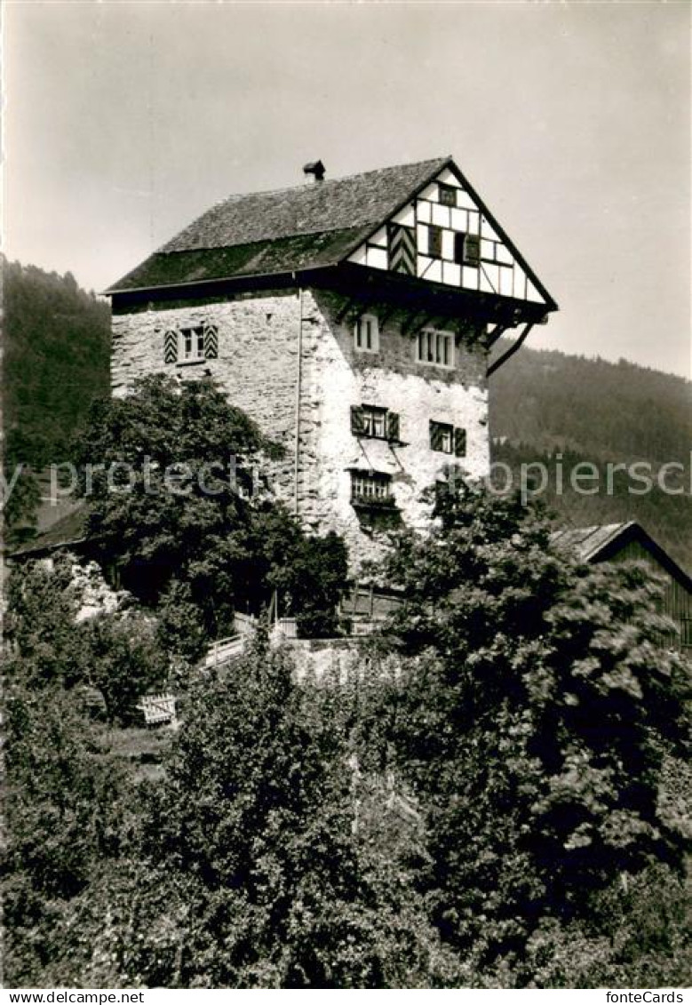 13711042 Altstaetten SG Burg Neu Altstaetten