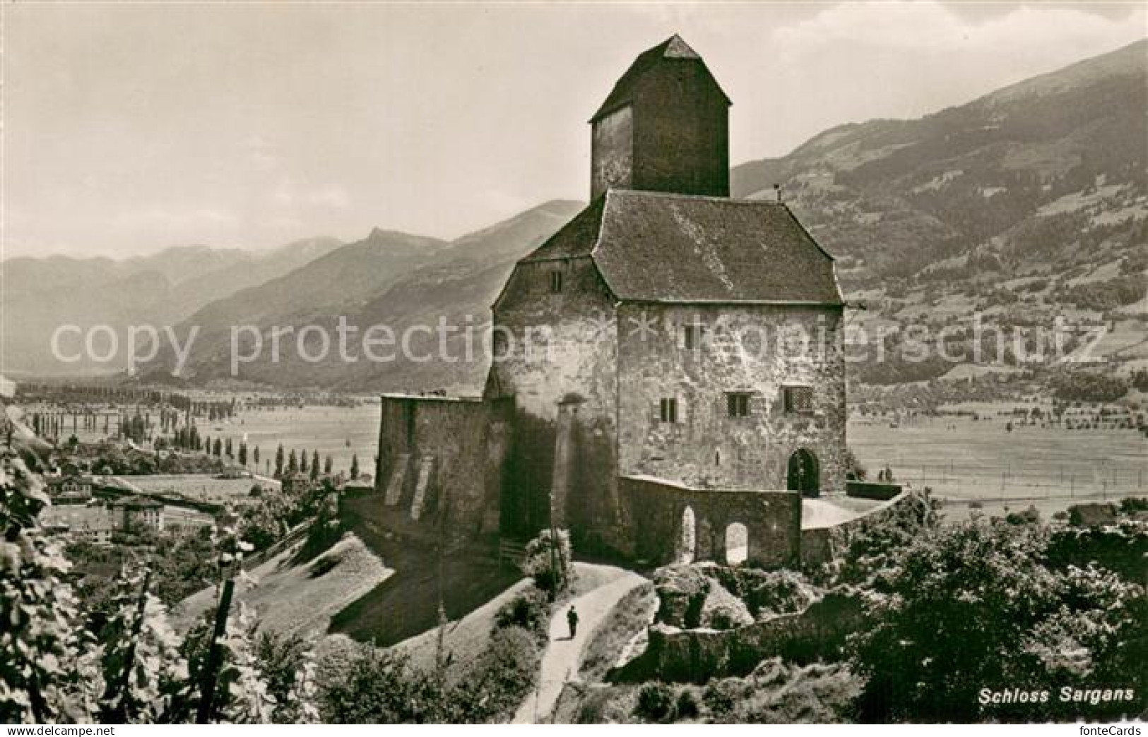 13718476 Sargans SG Schloss Sargans