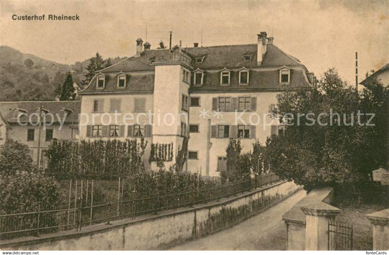 13729225 Rheineck  SG Custerhof Rheineck