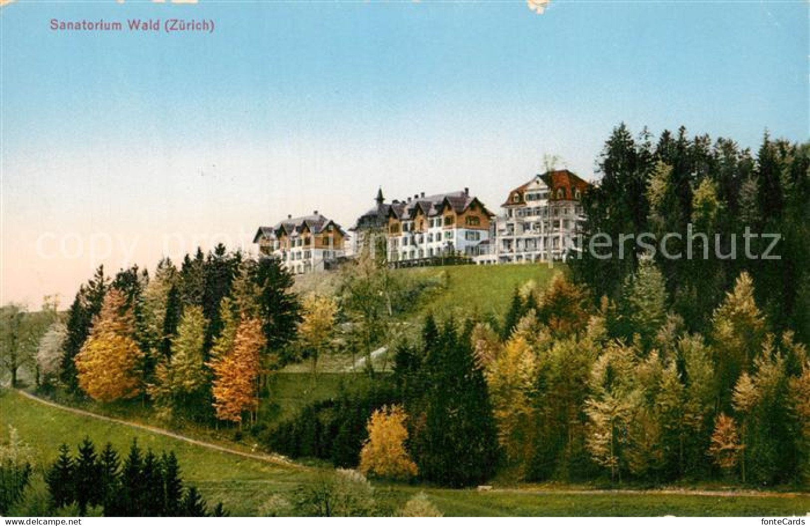 13730309 Wald ZH Sanatorium Wald Wald ZH