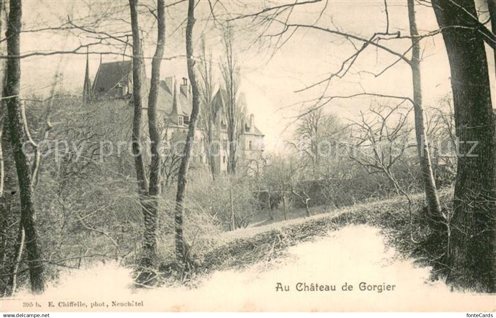 13738606 Gorgier NE Au Chateau de Gorgier