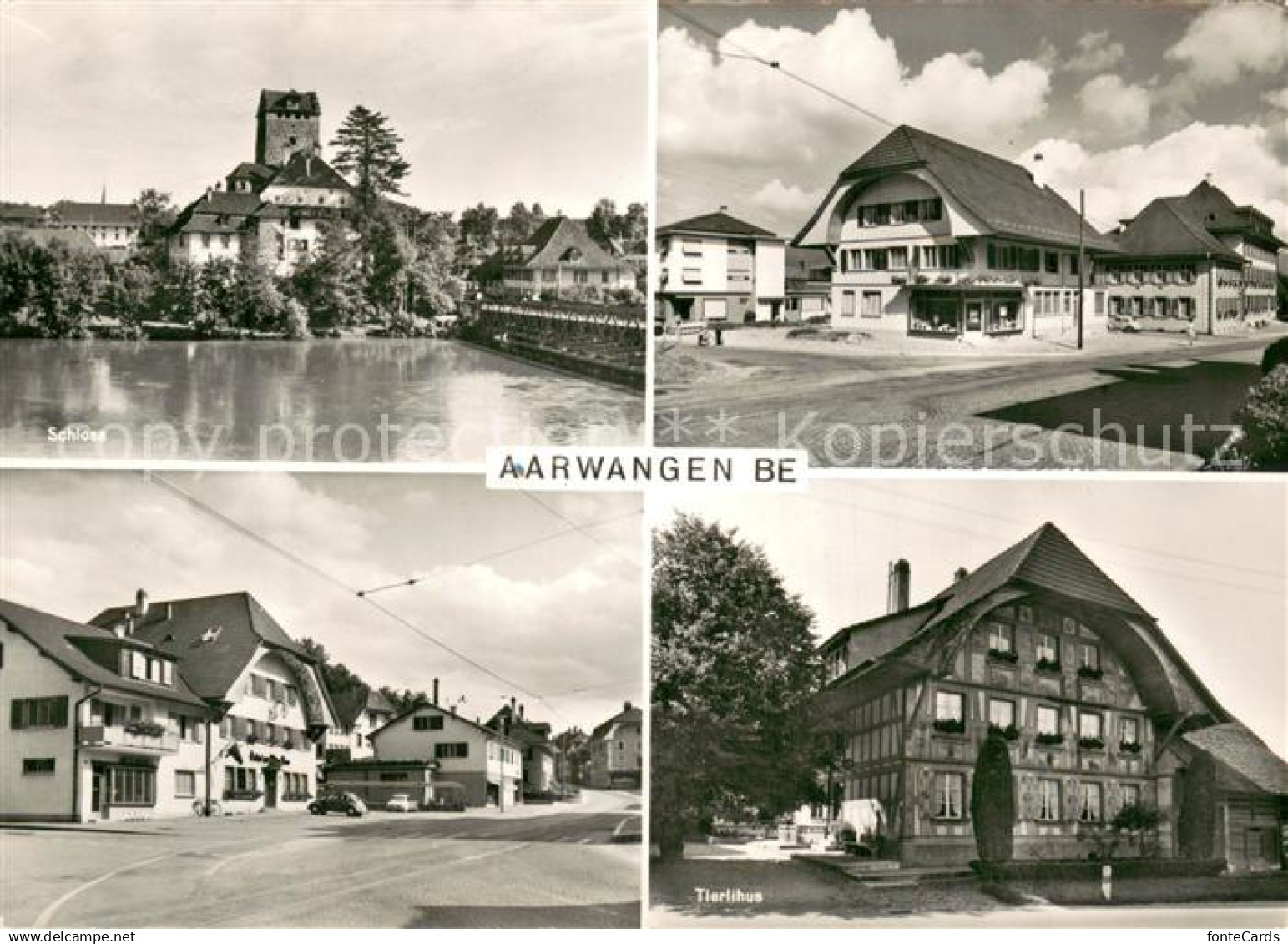 13760819 Aarwangen Tierlihus Schloss Aarwangen