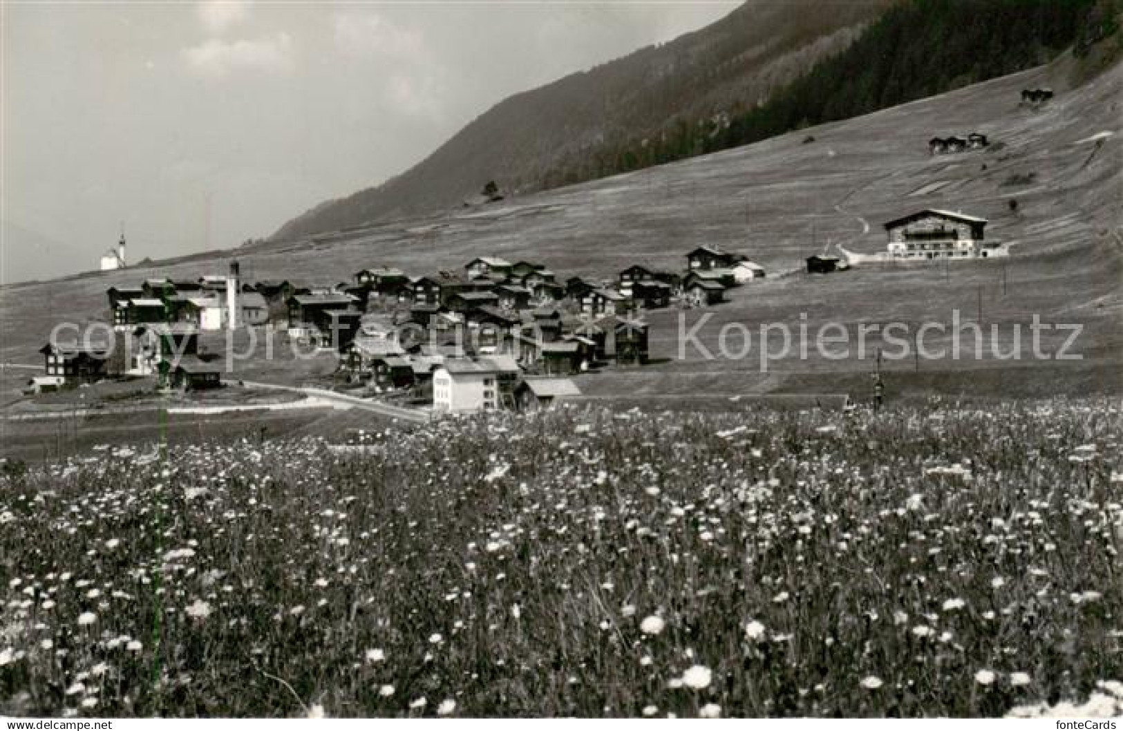 13831196 Gluringen Goms VS Panorama