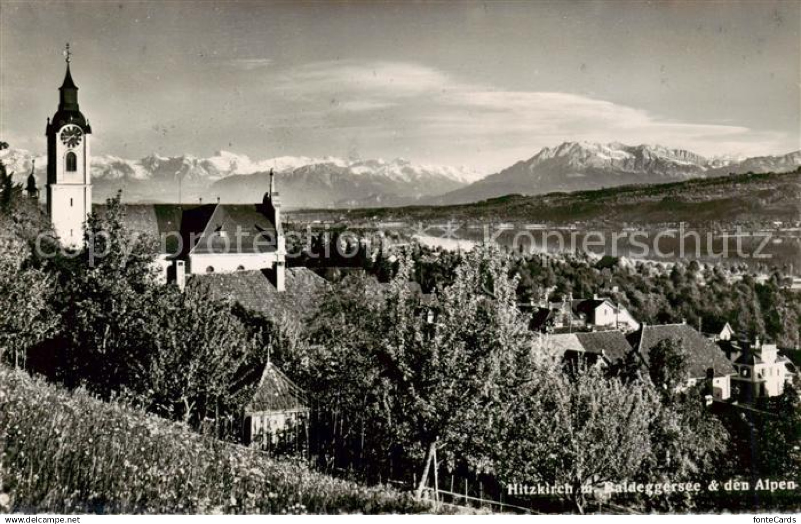 13841847 Hitzkirch am Baldeggersee mit Kirche und Alpenblick