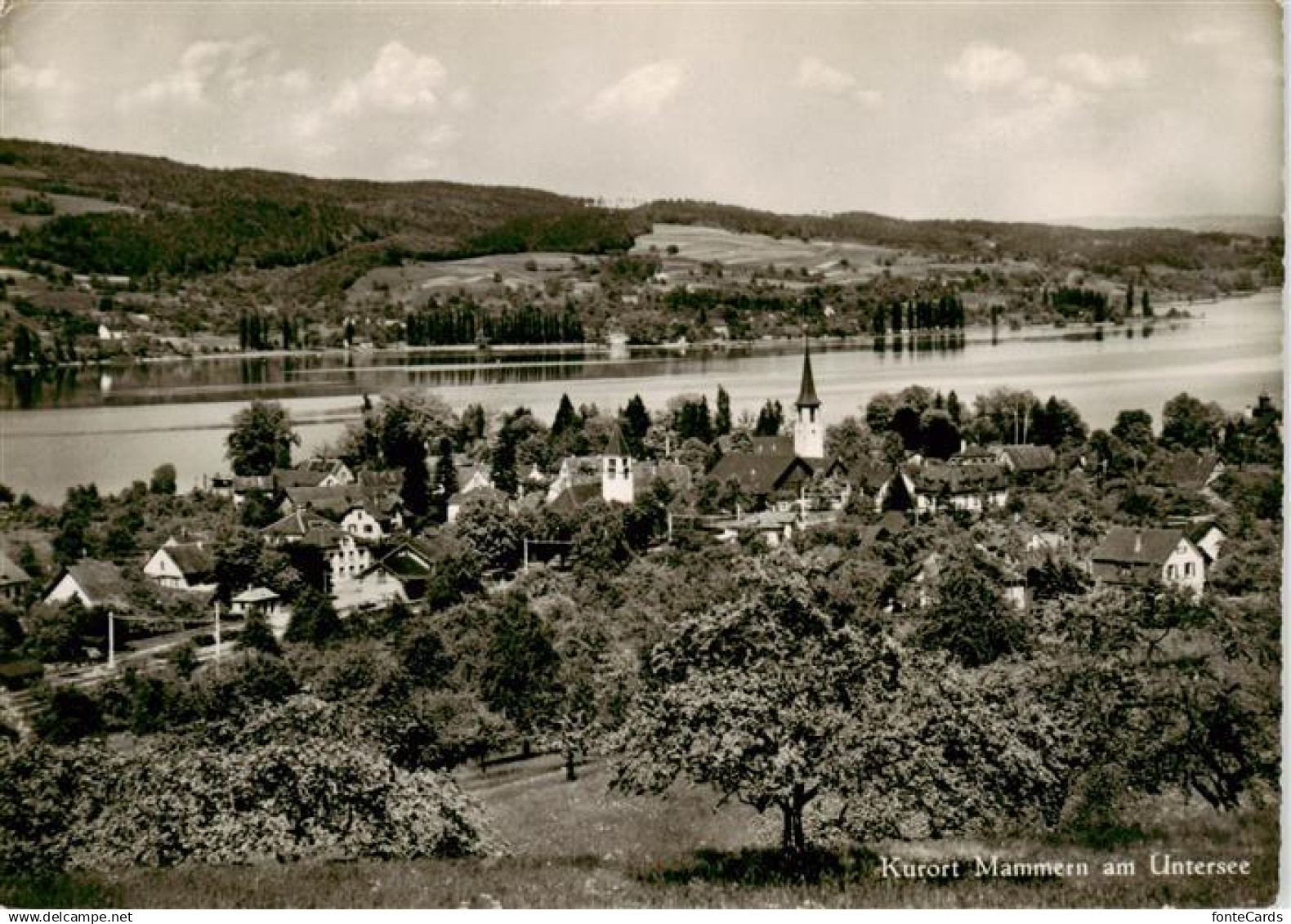 13872809 Mammern am Untersee Panorama Mammern