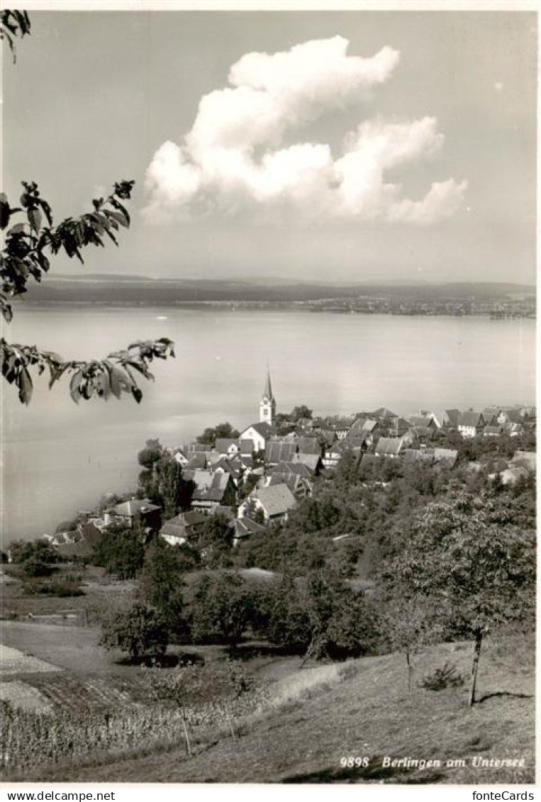 13896909 Berlingen Untersee Panorama