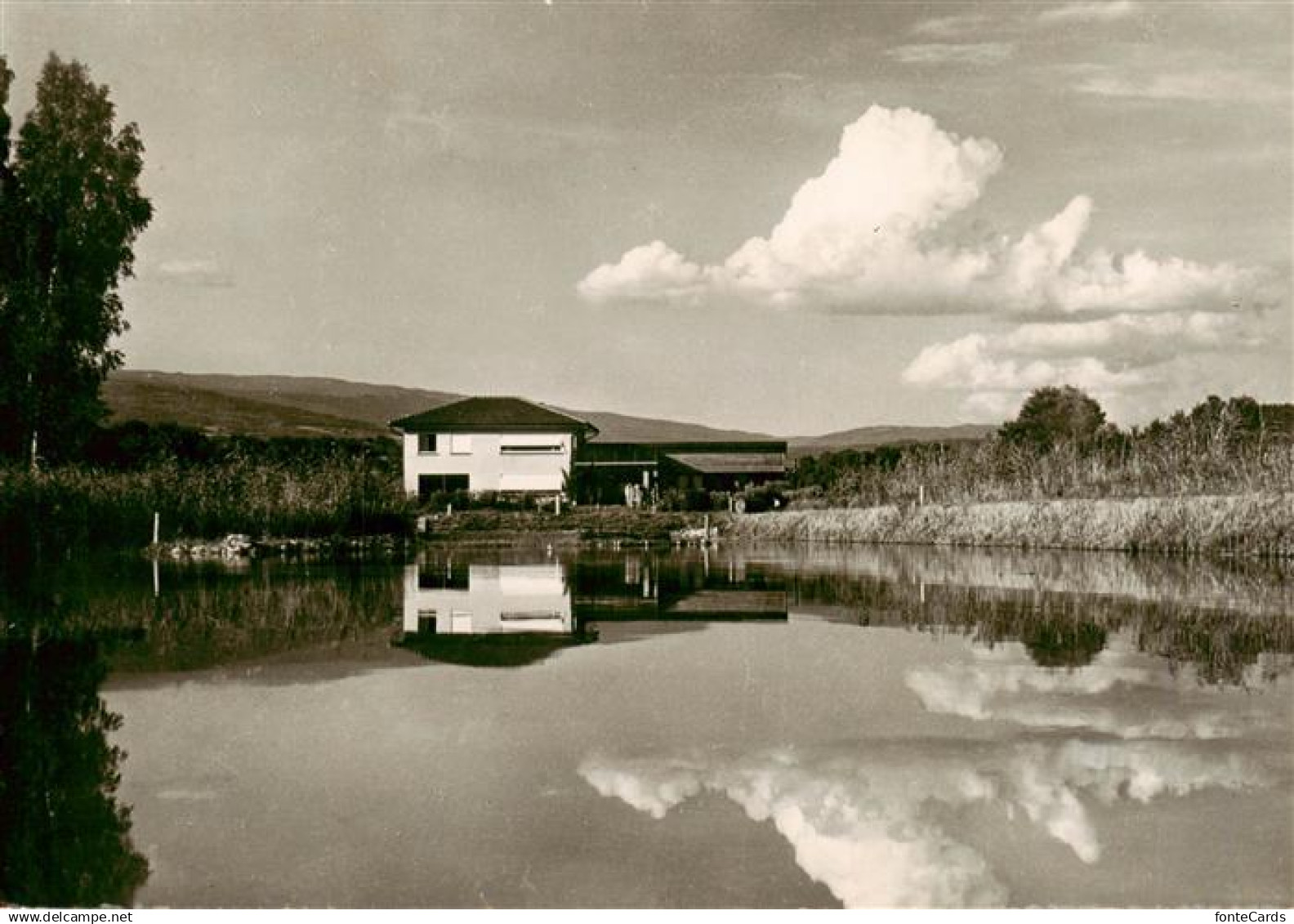 13908771 Thielle NE Heim und Gelaende am Neuenburgersee