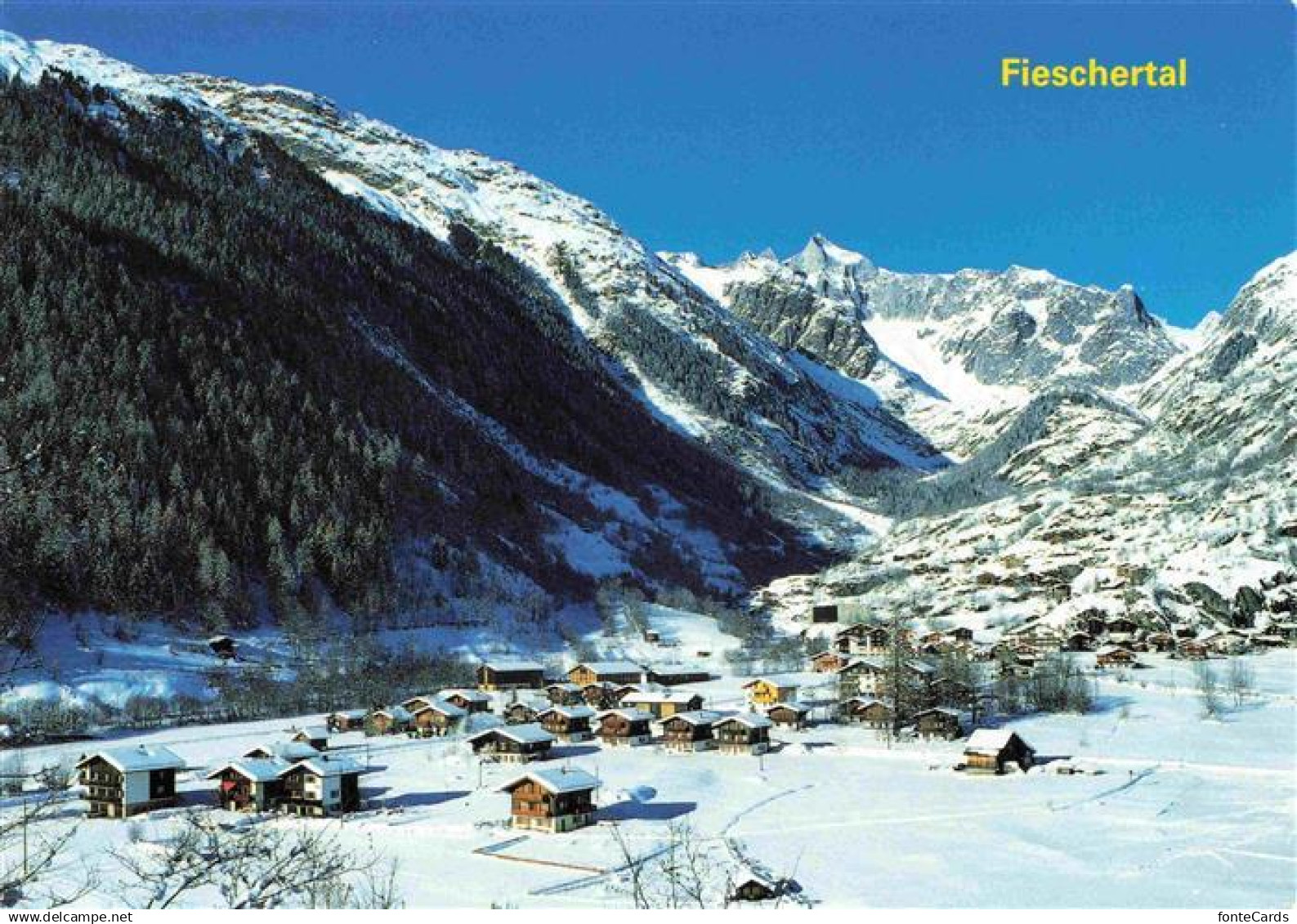 13961714 Fieschertal Winterpanorama Alpen