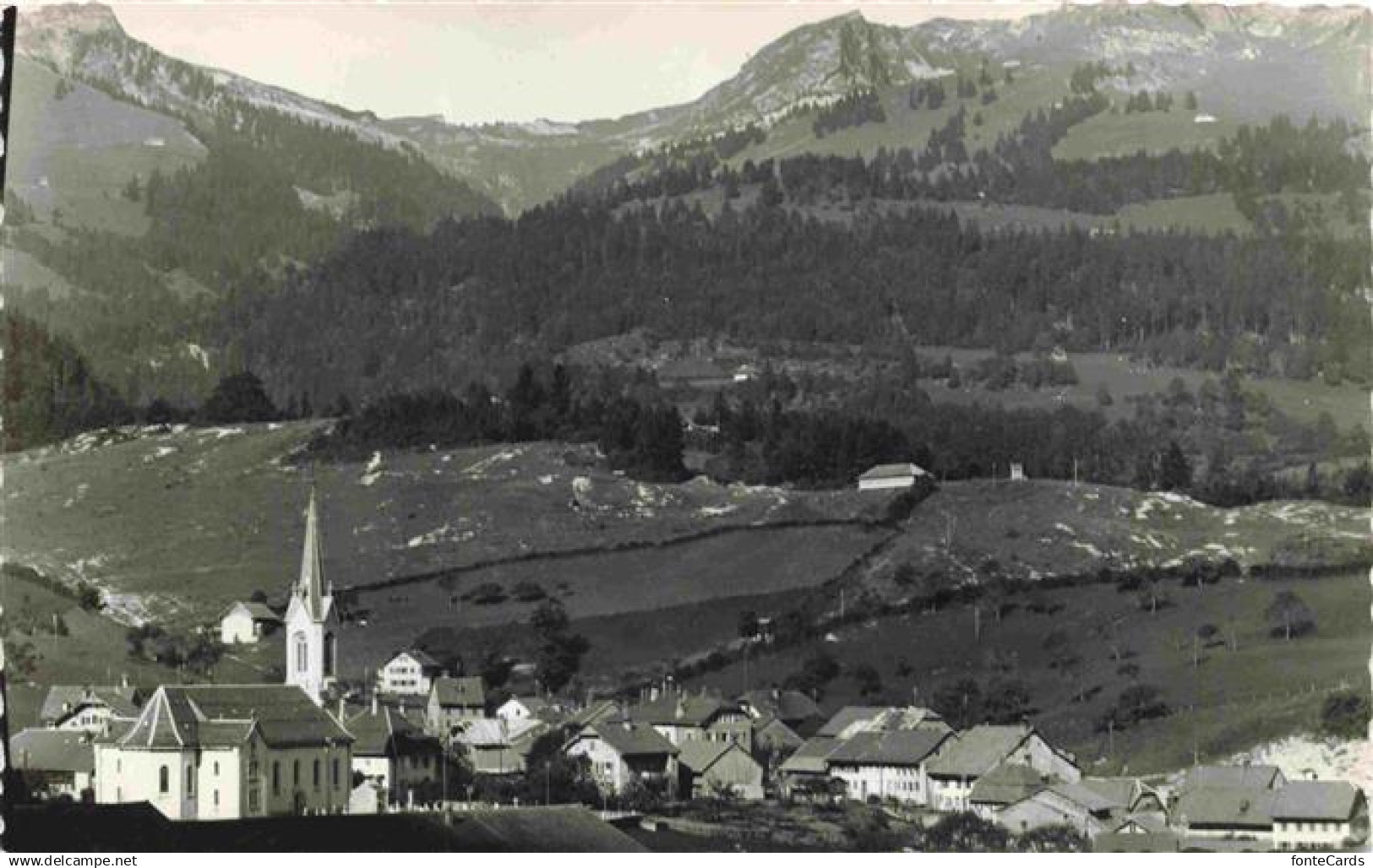 13985231 Montbovon La Gruyere FR Panorama