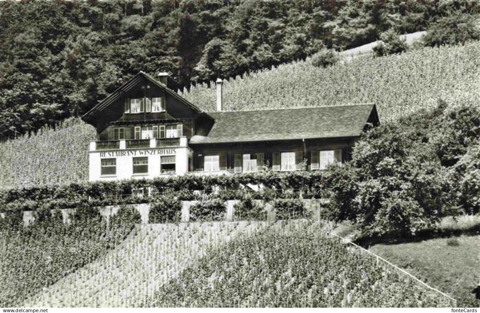 13989043 Weiningen  Dietikon ZH Restaurant Winzerhaus Weinberge