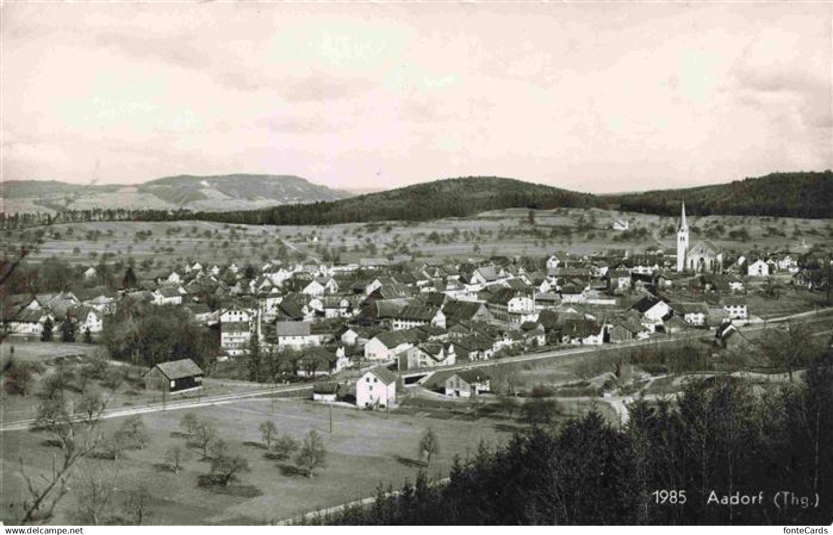 13990166 Aadorf_Frauenfeld_TG Panorama