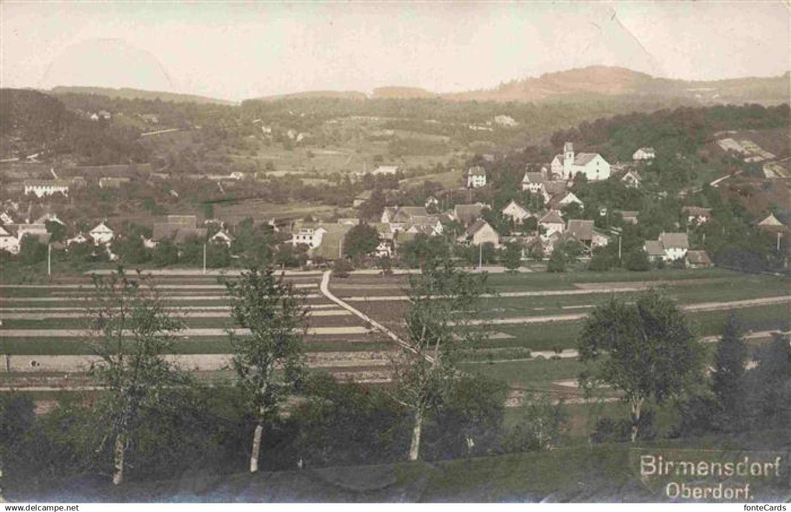 13991553 Birmensdorf ZH Panorama Oberdorf