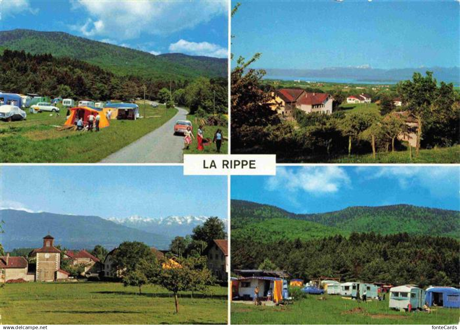 13993376 La Rippe Nyon VD Panorama Campingplatz