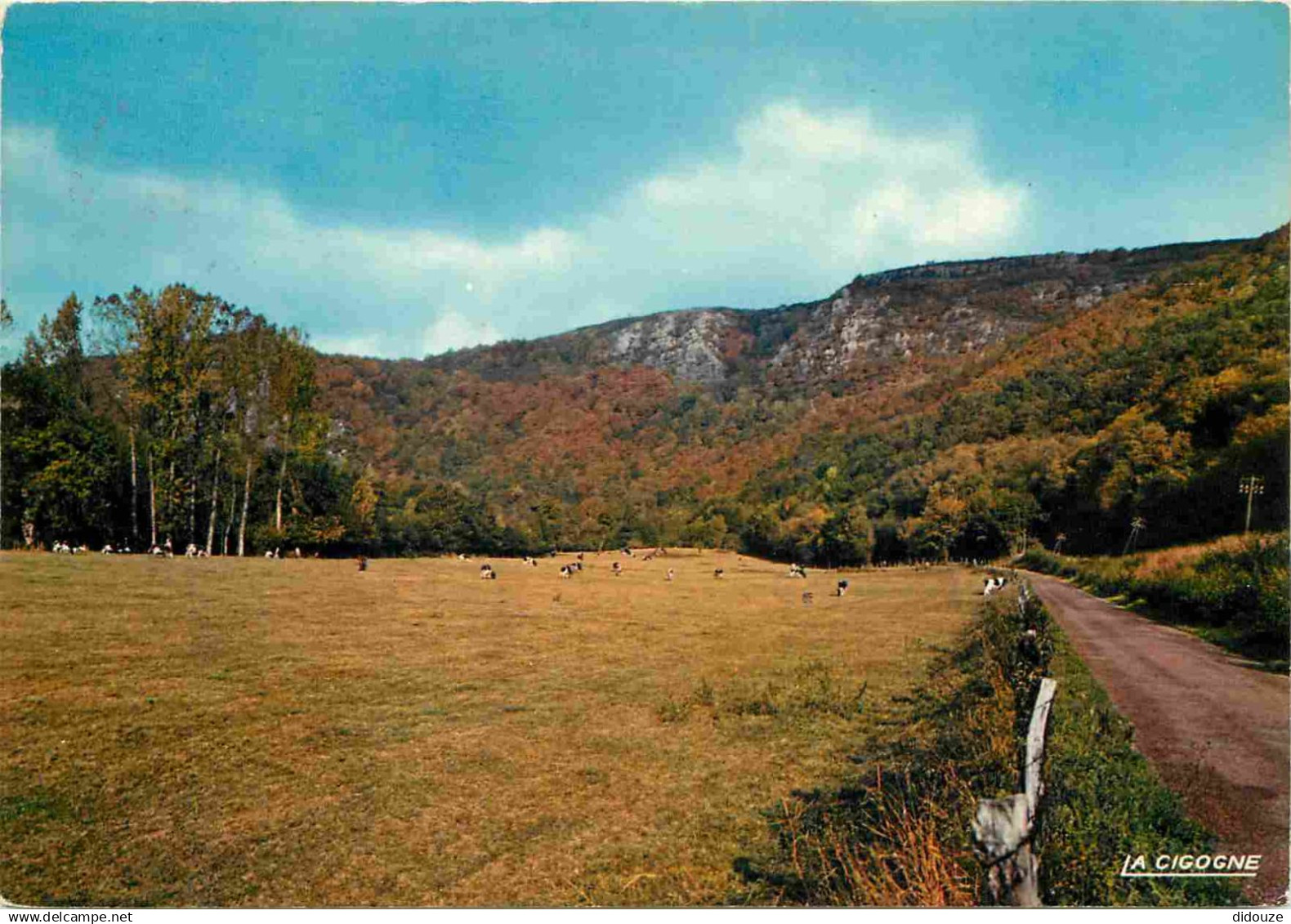 14 - Clécy - Site agréable près de Clécy - La Suisse Normande - CPM - Voir Scans Recto-Verso