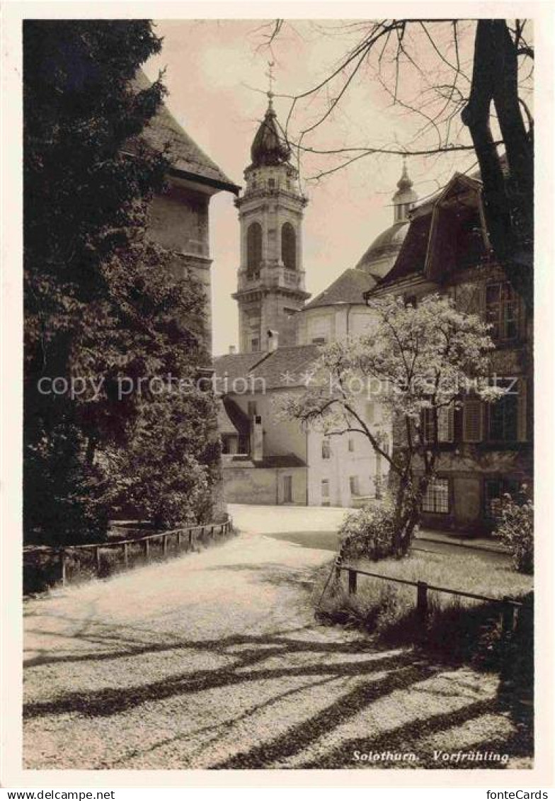 14010126 Solothurn Soleure SO Kirche im Vorfruehling