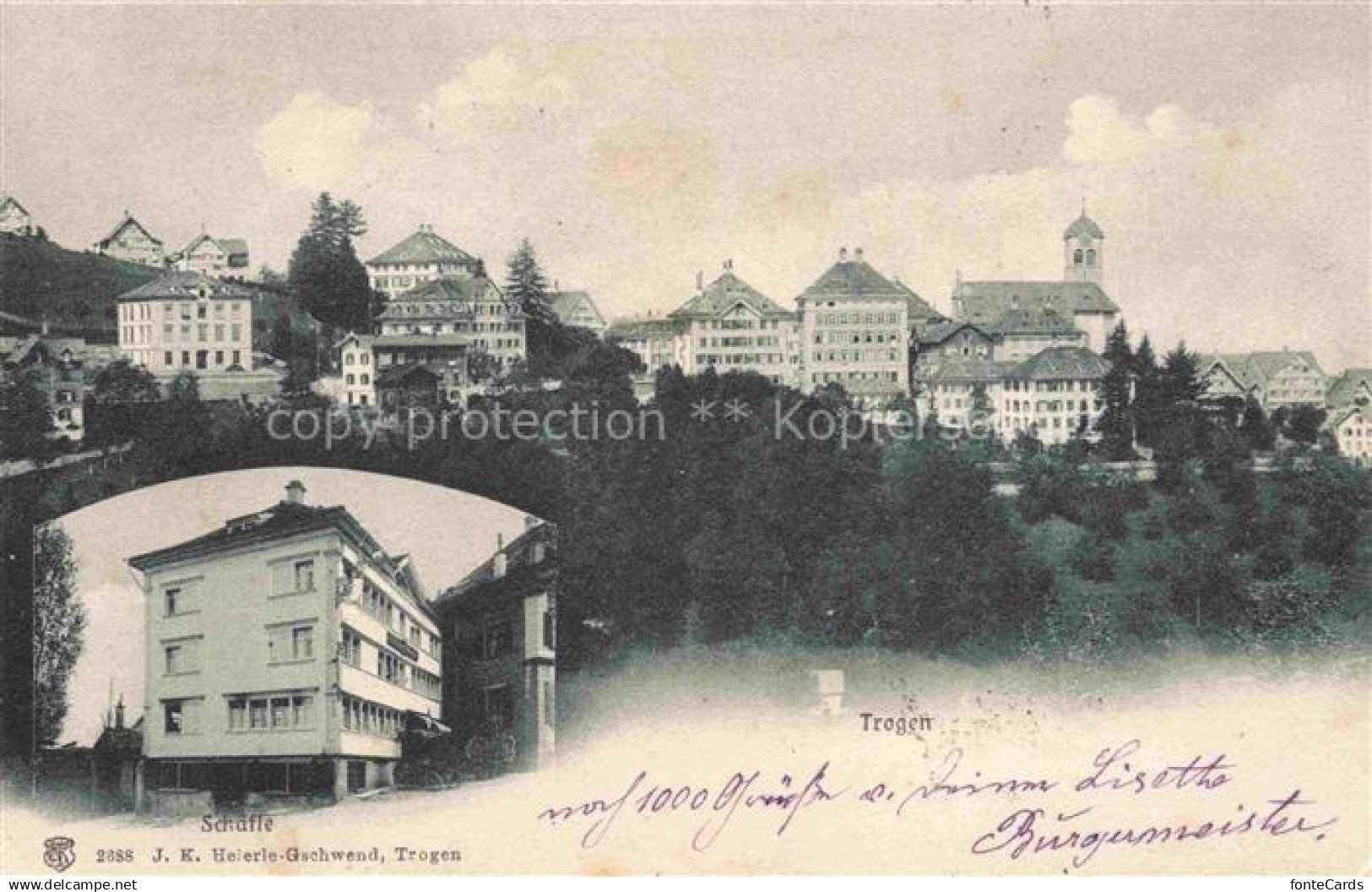 14034192 Trogen Appenzell AR Schaefle