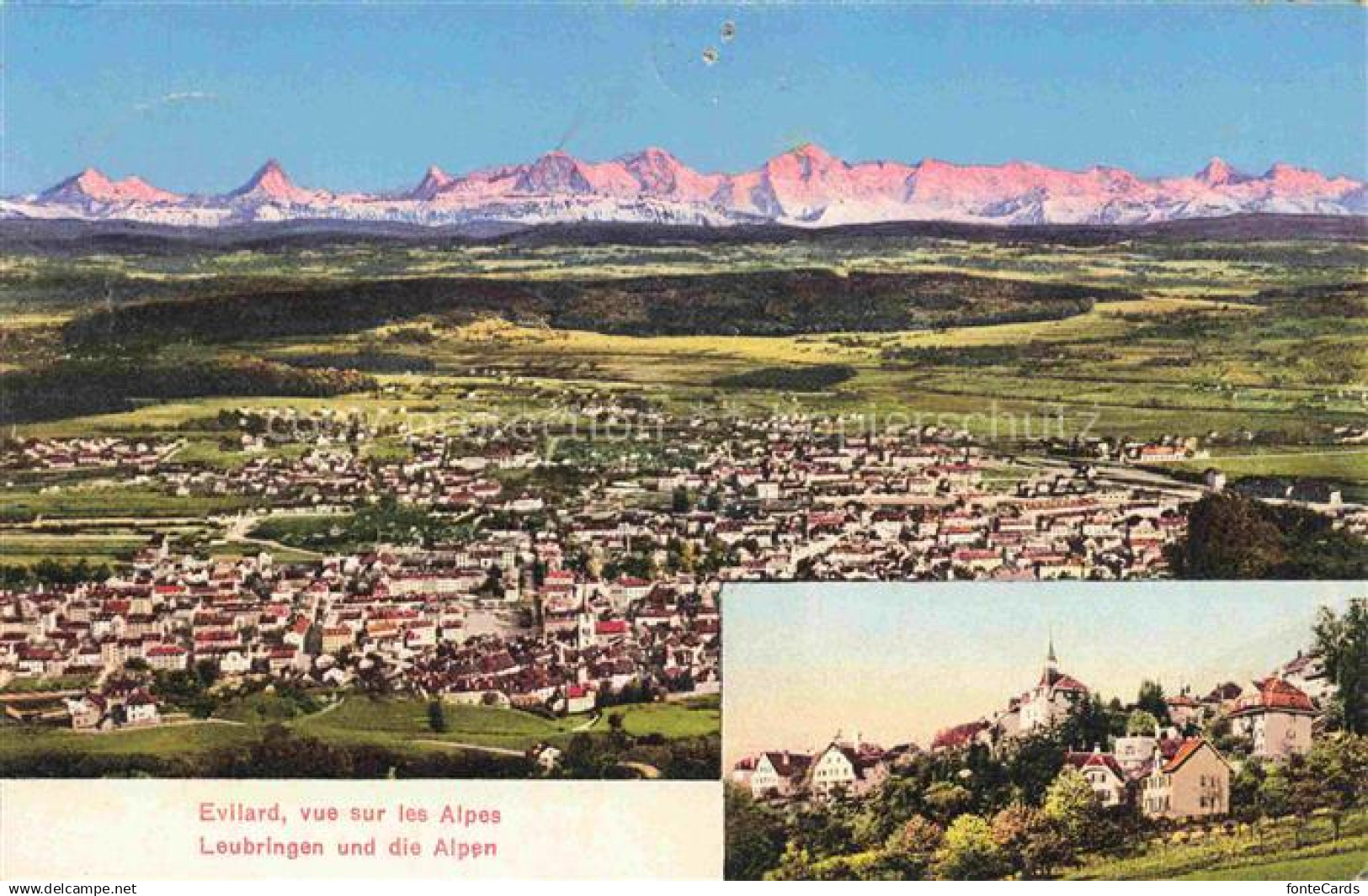 14034953 Evilard-sur-Bienne Evilard-Leubringen Biel BE Panorama Alpen Ortspartie