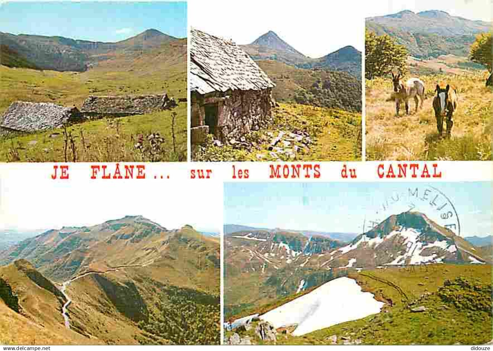 15 - Cantal - Monts du Cantal - Multivues - Chevaux - CPM - Voir Scans Recto-Verso