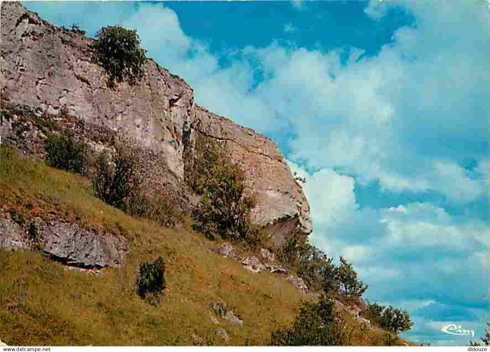 16 - Chateauneuf sur Charente - La Font-qui-pisse - Carte Neuve - CPM - Voir Scans Recto-Verso