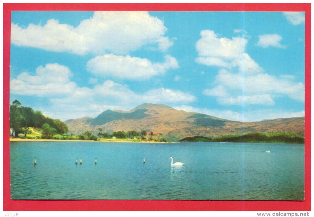 163064 / LOCH LOMOND FROM BEN LOMOND , SWAN - USED 1968 Great Britain Grande-Bretagne Grossbritannien Gran Bretagna