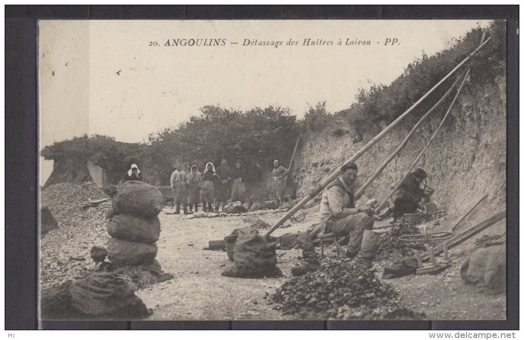 17 - Angoulins - Détassage des Huitres à Loiron