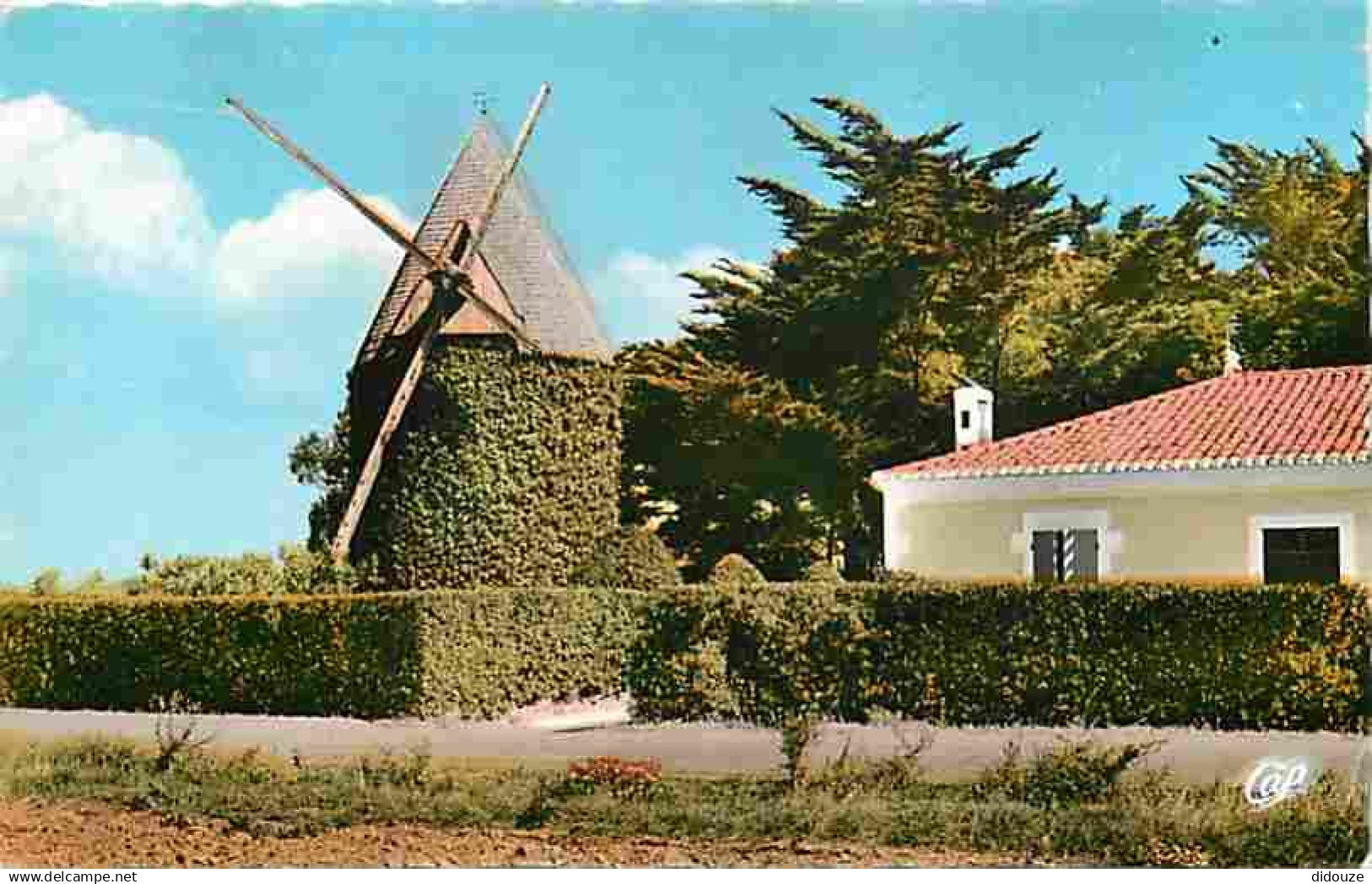 17 - Ile d'Oléron - Le Moulin de Matha - CPM - Voir Scans Recto-Verso