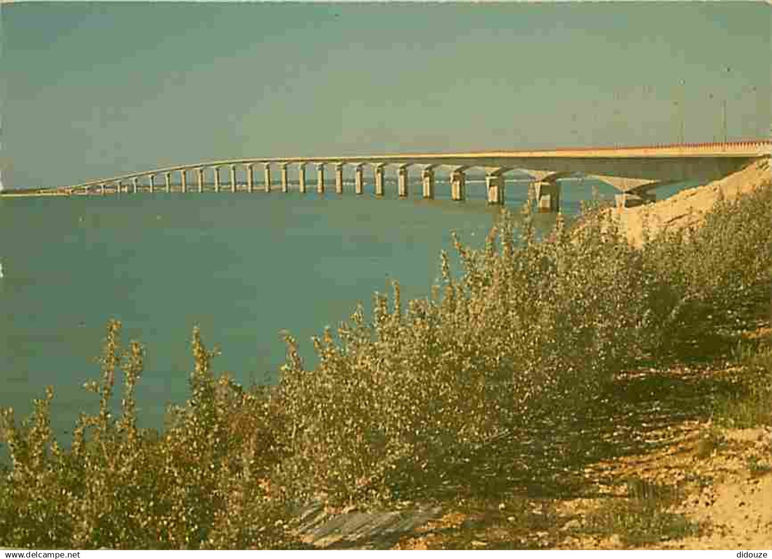 17 - Ile de Ré - Le Pont de l'ile de Ré - Carte Neuve - CPM - Voir Scans Recto-Verso