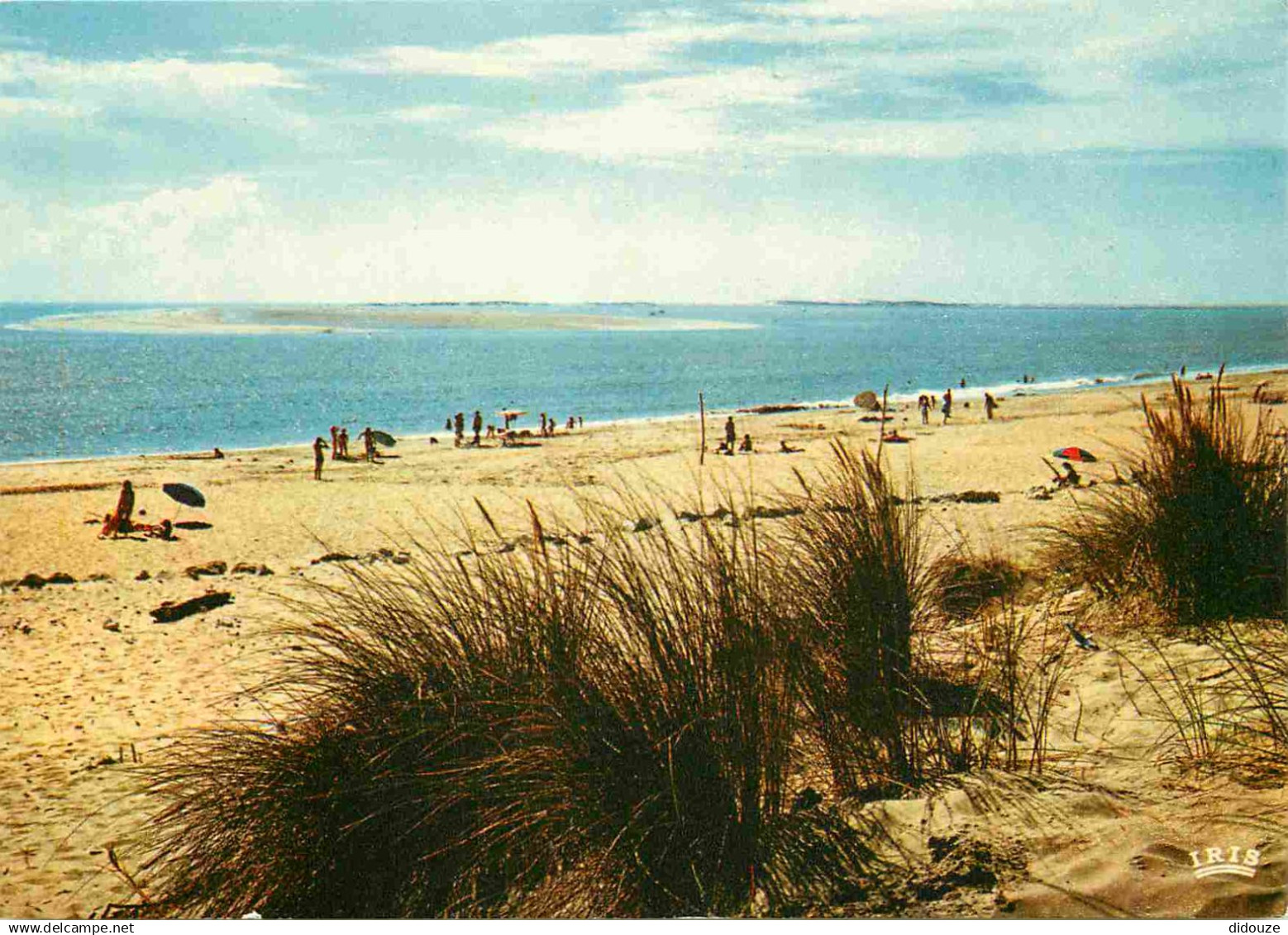 17 - Les Mathes - La Palmyre - La Plage du Clapet - CPM - Carte Neuve - Voir Scans Recto-Verso