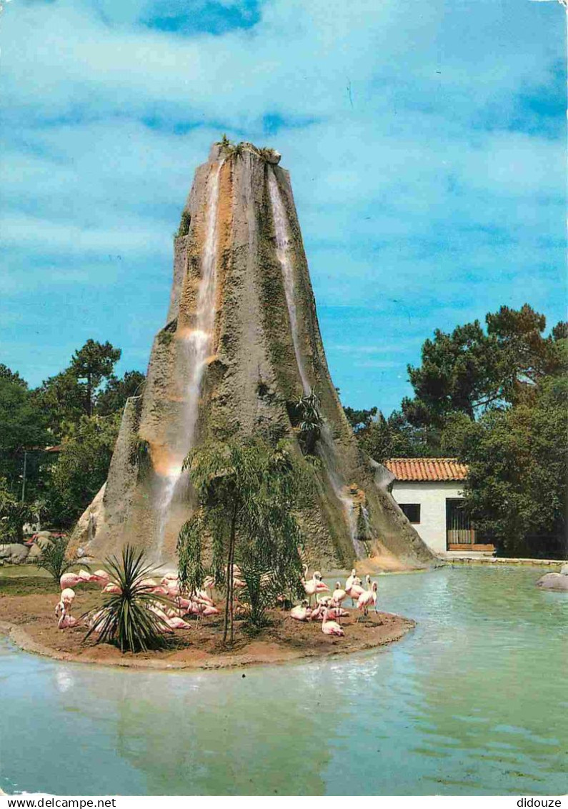 17 - Les Mathes - La Palmyre - Parc Zoologique - Flamants roses au pied de la Cascade - Zoo - CPM - Voir Scans Recto-Ver