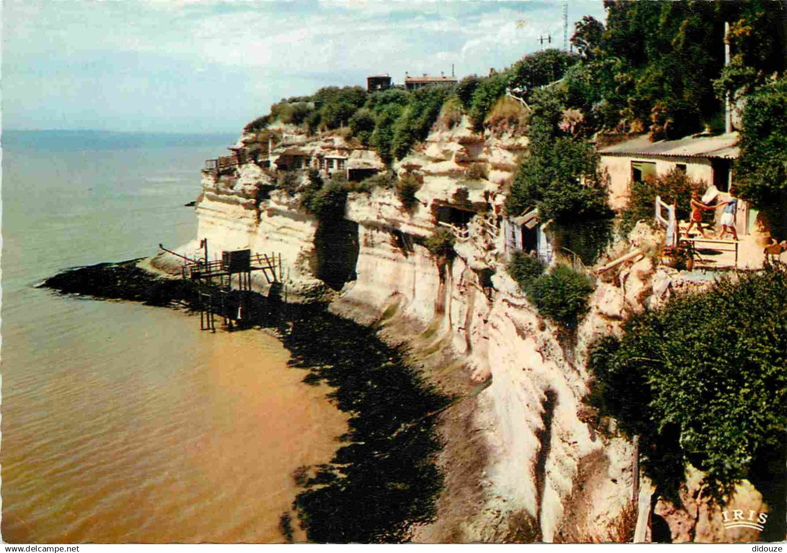 17 - Meschers sur Gironde - Falaises et Grottes de Meschers - Carte Dentelée - CPSM grand format - Carte Neuve - Voir Sc